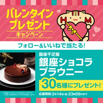 バレンタインプレゼントキャンペーン 銀座ショコラブラウニー