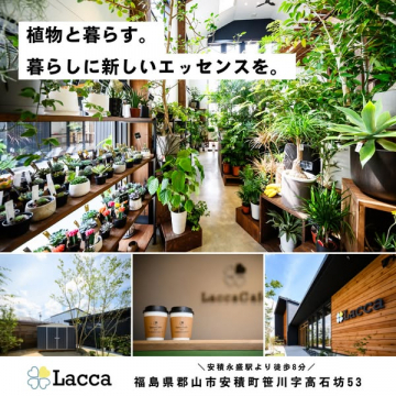 Lacca：観葉植物販売とカフェ