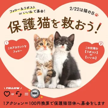 保護猫支援キャンペーン「フォロー＆リポストで募金」