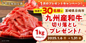 お年玉特別企画「宮崎県日向市 九州産和牛切り落としプレゼントキャンペーン」