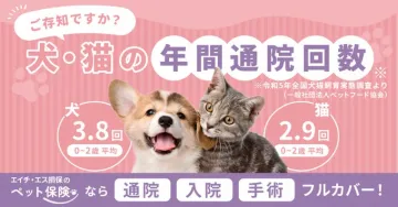 エイチ・エス損保のペット保険