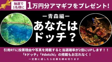 青森編 あなたはドッチ？ アマギフプレゼントキャンペーン