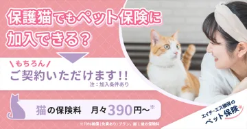 エイチ・エス損保のペット保険