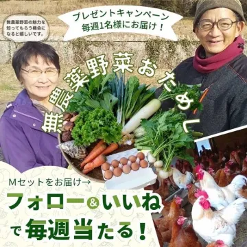 無農薬野菜おためしプレゼントキャンペーン