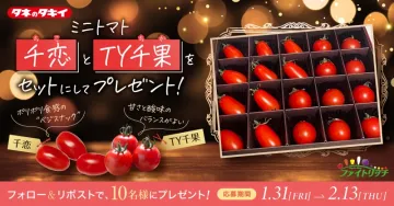 タキのタネ ミニトマト「千恋」と「TY千果」プレゼントキャンペーン