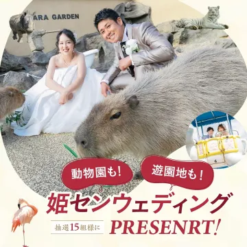 姫路セントラルパーク ウェディング体験プレゼント