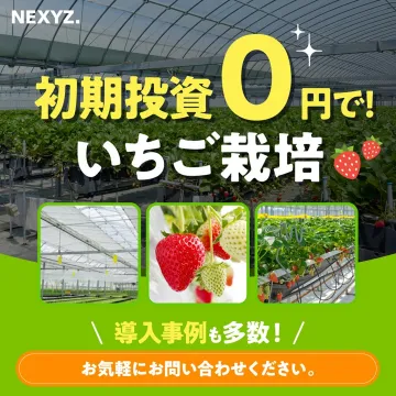初期投資0円で始めるいちご栽培サービス