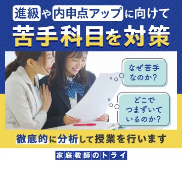 家庭教師のトライ 苦手科目対策 個別指導プラン