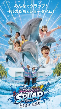 SPLAP（スプラップ）家族で楽しむイルカショー