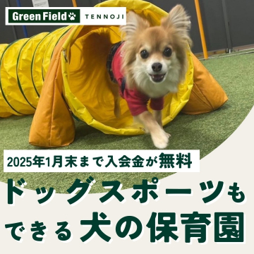 ドッグスポーツもできる犬の保育園 Green Field TENNOJI