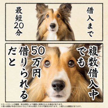 複数借入中でも最短20分で借りられるカードローン案内