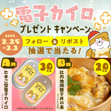 電子カイロ＆親子丼の素プレゼントキャンペーン
