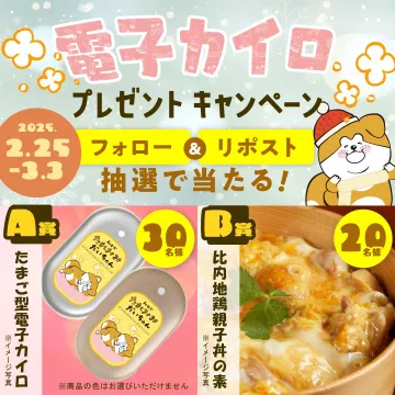 電子カイロ＆親子丼の素プレゼントキャンペーン