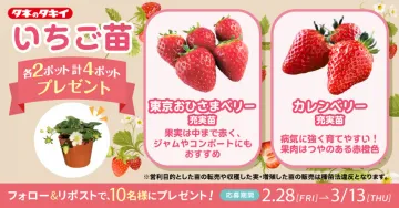 タキイ種苗のいちご苗プレゼントキャンペーン