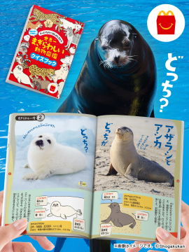 マクドナルド まぎらわしい動物図鑑クイズブック付きハッピーセット