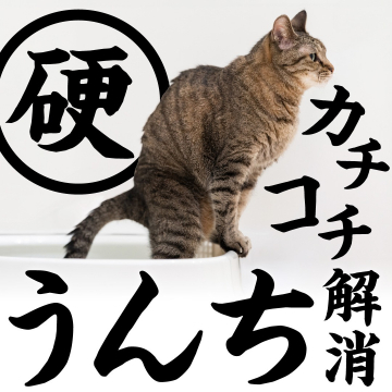 猫のカチコチ便対策サプリメント・フード（便秘解消サポート）