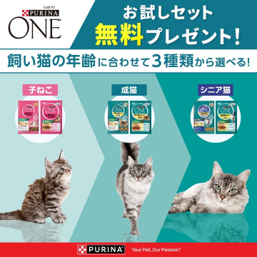 ピュリナワン 猫用お試しセット（年齢別3種類から選べるフード）