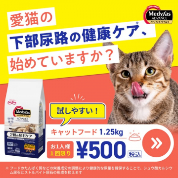 愛猫の下部尿路ケアお試しフード
