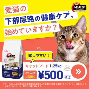 愛猫の下部尿路ケアお試しフード
