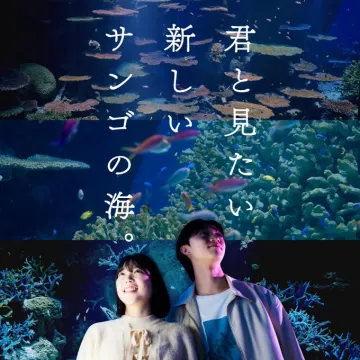 サンゴの海が広がる新展示・水族館プロモーション