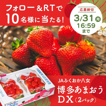 JAふくおか八女 博多あまおうDX（2パック）プレゼントキャンペーン