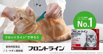 猫用ノミ・マダニ駆除スポット薬 フロントライン