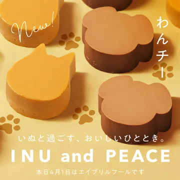 いぬモチーフのチョコスイーツ「わんチー」