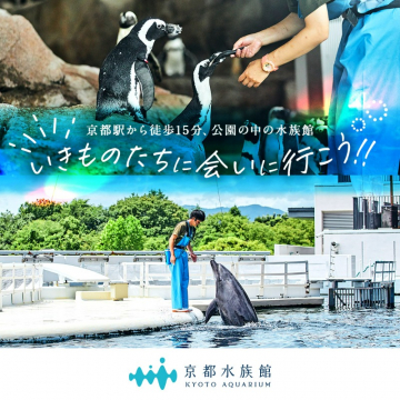京都水族館の動物たちとふれあえる体験型展示