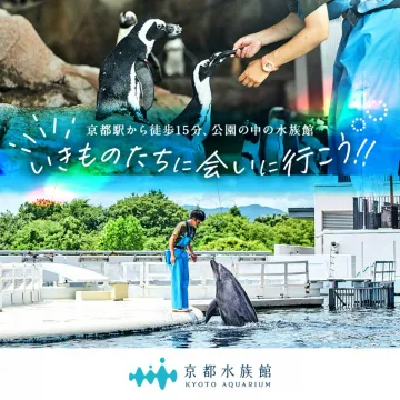 京都水族館で動物たちとふれあえる体験イベント