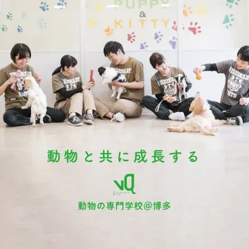 動物の専門学校＠博多（実習重視のペットケア教育）