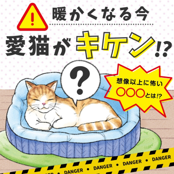 春のペットケア注意喚起バナー（猫の健康管理対策）