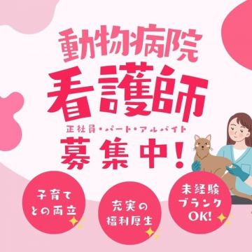動物病院の看護師スタッフ募集（正社員・パート・アルバイト対応）