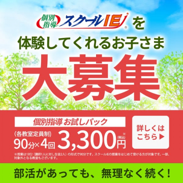 スクールIE 個別指導 体験お試しパック