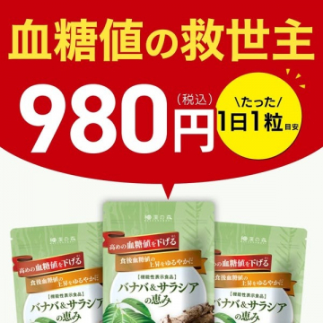 バナバ＆サラシアの恵み 血糖値対策サプリメント