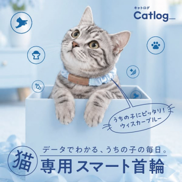 猫の行動記録スマート首輪