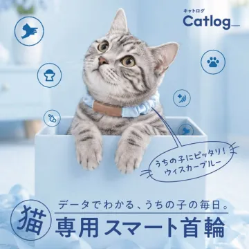 猫の行動記録スマート首輪