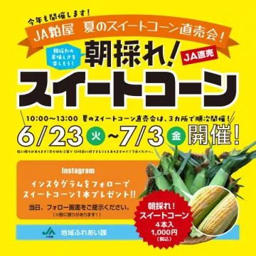 JA粕屋の朝採れスイートコーン直売会（夏の農産物直売）