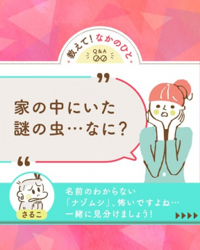 家の中の謎の虫を見分けるQ&Aコンテンツ
