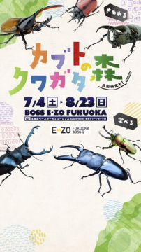 カブト・クワガタの夏の展示イベント