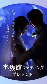 水族館で叶える幻想的ウェディングプレゼント