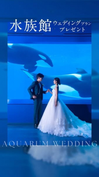 幻想的な水族館でのウェディングプランプレゼント