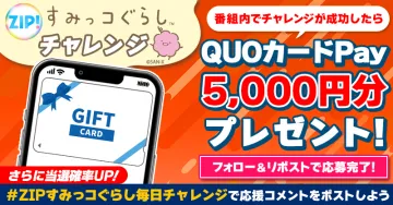 ZIP!すみっコぐらしチャレンジでQUOカードPay5,000円分が当たるプレゼントキャンペーン