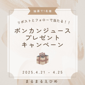 ポンカンジュースプレゼントキャンペーン