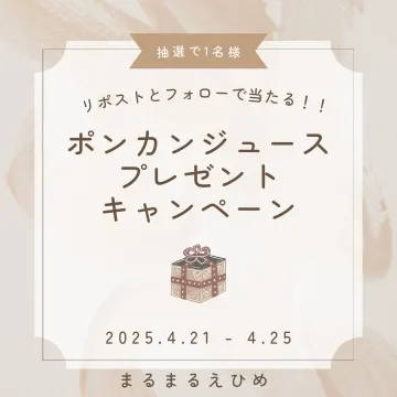 ポンカンジュースプレゼントキャンペーン