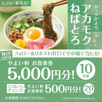 やよい軒 アカモクねばとろ新発売記念キャンペーン