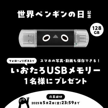 世界ペンギンの日記念 いおたろUSBメモリプレゼント