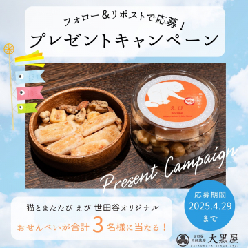 猫えび煎餅空飛ぶ和風ギフト