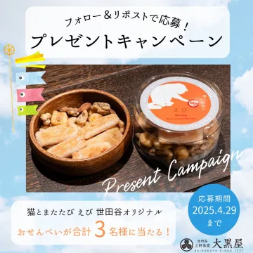 猫えび煎餅空飛ぶ和風ギフト