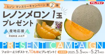 レノンメロン1玉プレゼントキャンペーン（産地応援企画）