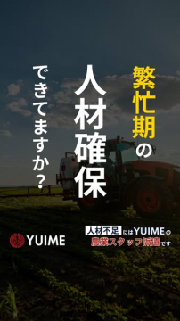 YUIMEの農業スタッフ派遣（繁忙期支援）
